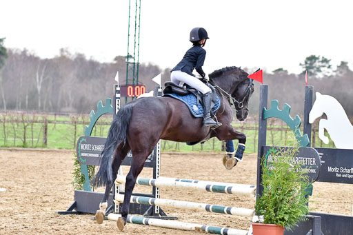 Reitsportzentrum Bremervörde  8.4.21 | 080421 Stilspring WB _139 