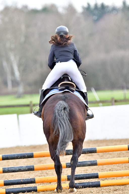Reitsportzentrum Bremervörde  8.4.21 | 080421 Stilspring WB _181 
