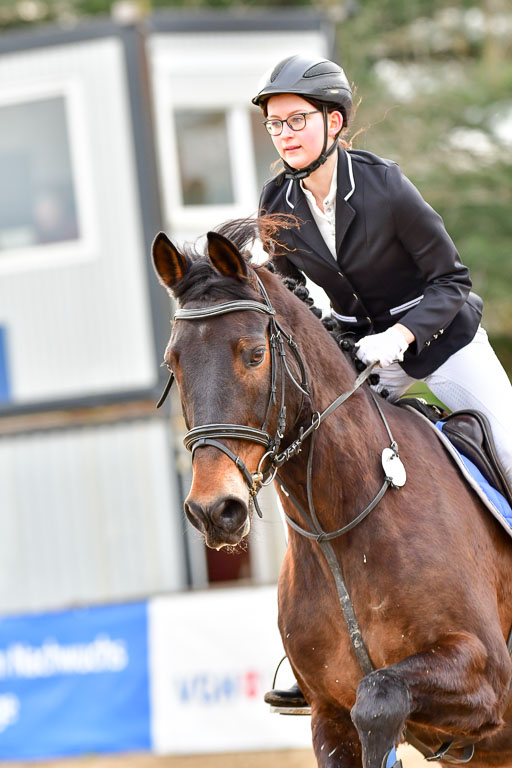 Reitsportzentrum Bremervörde  8.4.21 | 080421 Stilspring WB _183 