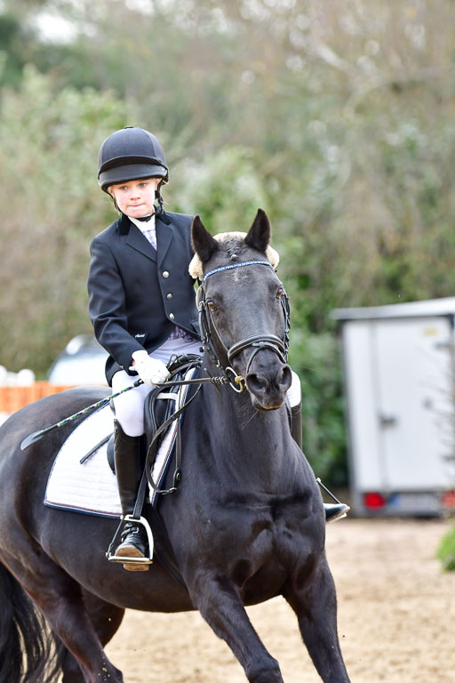 Reitsportzentrum Bremervörde  8.4.21 | 080421 Stilspring WB _195 