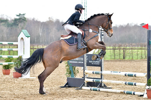 Reitsportzentrum Bremervörde  8.4.21 | 080421 Stilspring WB _217 