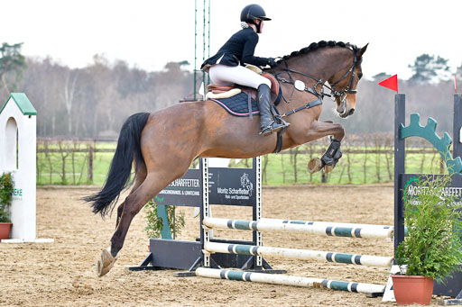 Reitsportzentrum Bremervörde  8.4.21 | 080421 Stilspring WB _218 