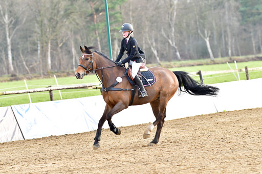 Reitsportzentrum Bremervörde  8.4.21 | 080421 Stilspring WB _221 