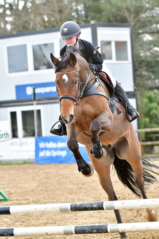 Reitsportzentrum Bremervörde  8.4.21 | 080421 Stilspring WB _227 