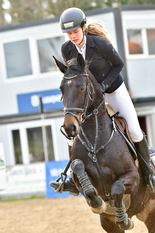 Reitsportzentrum Bremervörde  8.4.21 | 080421 Stilspring WB _239 