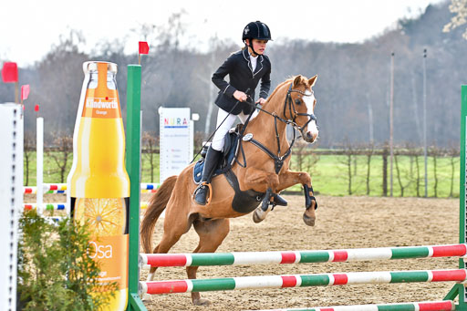 Reitsportzentrum Bremervörde  8.4.21 | 080421 Stilspring WB _241 