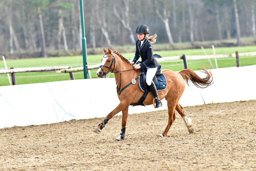 Reitsportzentrum Bremervörde  8.4.21 | 080421 Stilspring WB _244 
