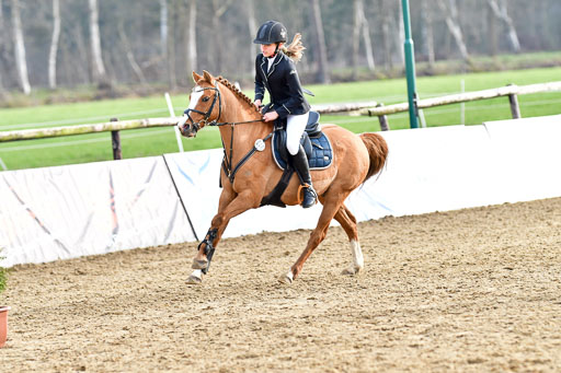 Reitsportzentrum Bremervörde  8.4.21 | 080421 Stilspring WB _245 