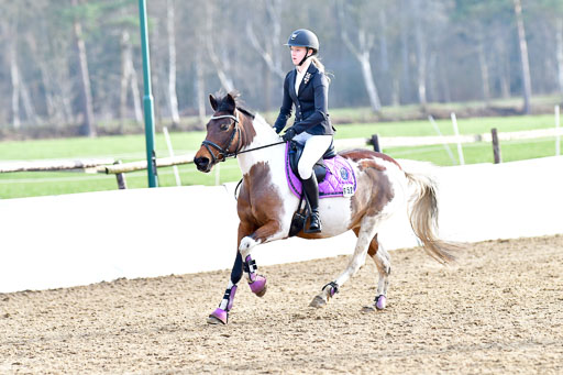 Reitsportzentrum Bremervörde  8.4.21 | 080421 Stilspring WB _255 