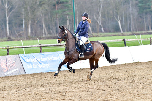 Reitsportzentrum Bremervörde  8.4.21 | 080421 Stilspring WB _287 