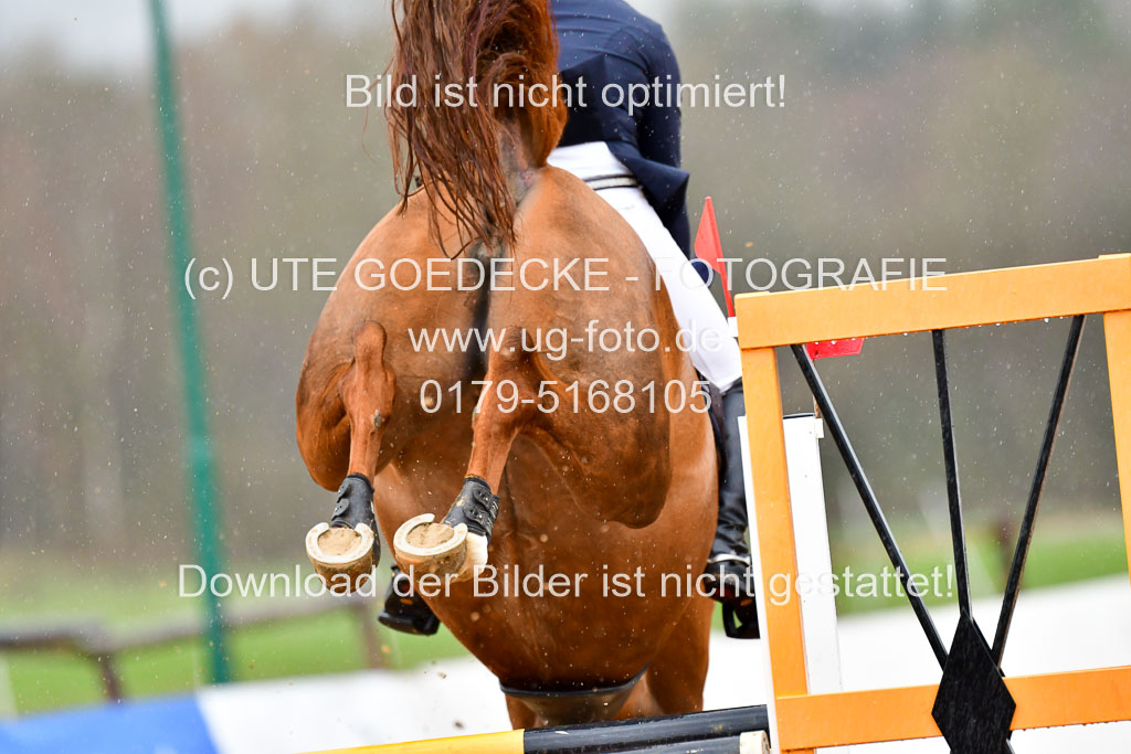 Reitsportzentrum Bremervörde 9.4.21 | 090421 Springen L_154