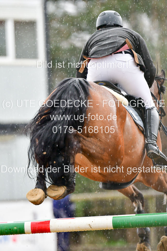 Reitsportzentrum Bremervörde 9.4.21 | 090421 Springen L_180 