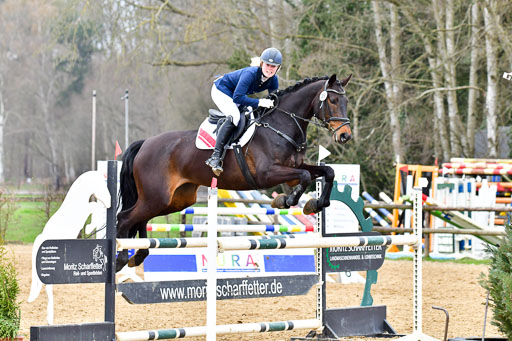 Reitsportzentrum Bremervörde 9.4.21 | 090421 Springen L_025 