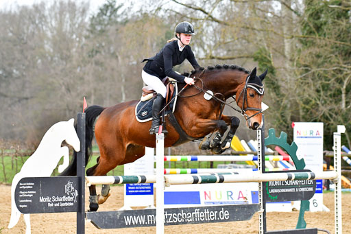 Reitsportzentrum Bremervörde 9.4.21 | 090421 Springen L_103 