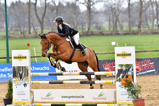 Reitsportzentrum Bremervörde 9.4.21 | 090421 Springen L_120 