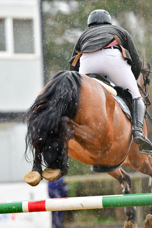 Reitsportzentrum Bremervörde 9.4.21 | 090421 Springen L_180 