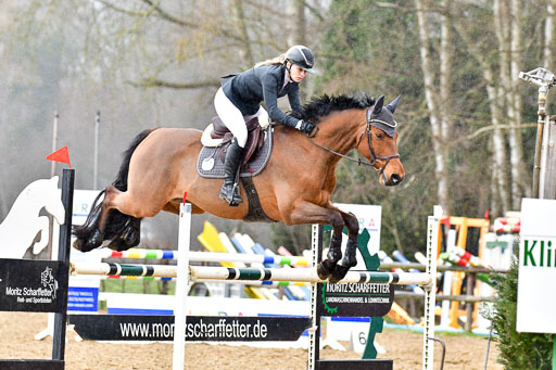 Reitsportzentrum Bremervörde 9.4.21 | 090421 Springen L_224 