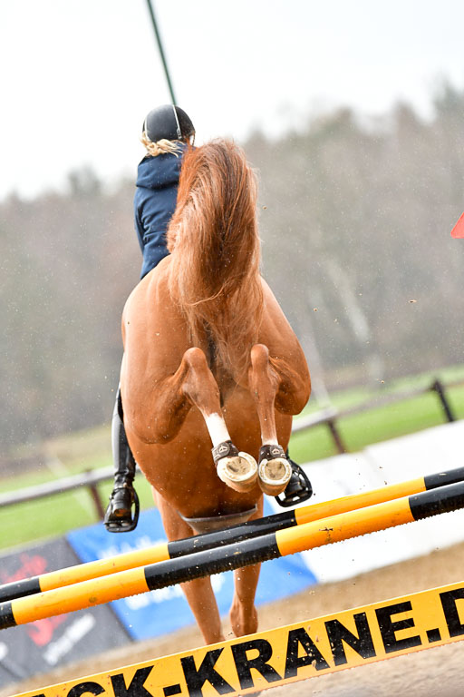 Reitsportzentrum Bremervörde 9.4.21 | 090421 Springen L_225 