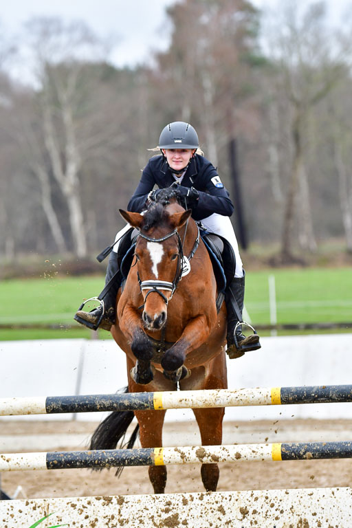 Reitsportzentrum Bremervörde 11.4.21 | 11421 VGH Quali  Stil L  _039 