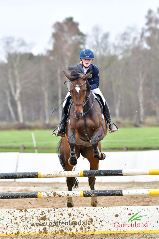 Reitsportzentrum Bremervörde 11.4.21 | 11421 VGH Quali  Stil L  _152 