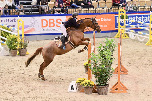  | Jugend Team Cup _183 