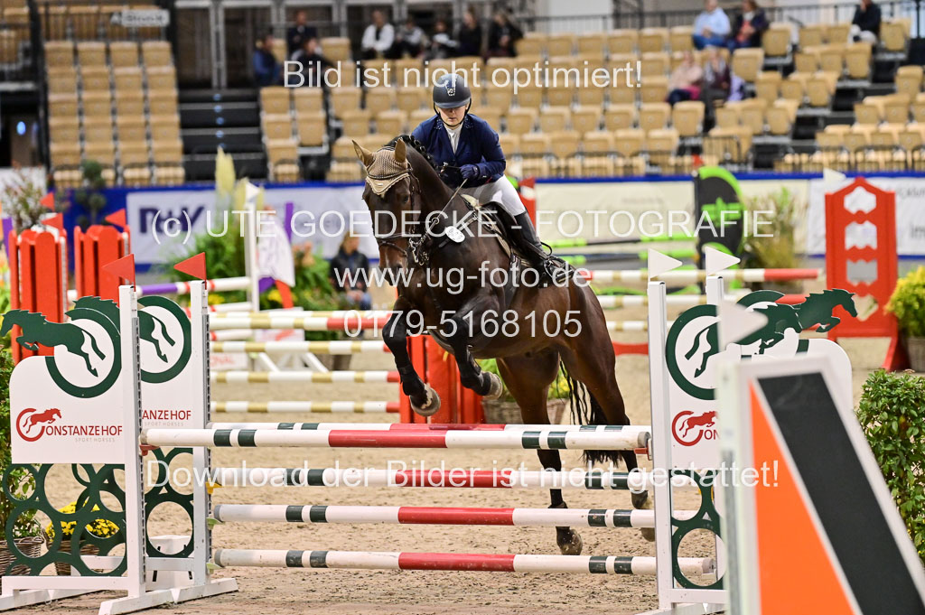 SH Holstein International 21-24.10.2021 Neumünster | Pfg 1 Bronze Tour _155