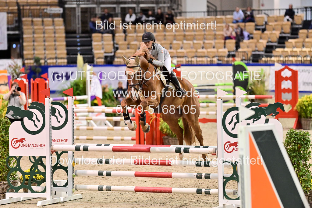 SH Holstein International 21-24.10.2021 Neumünster | Pfg 1 Bronze Tour _278