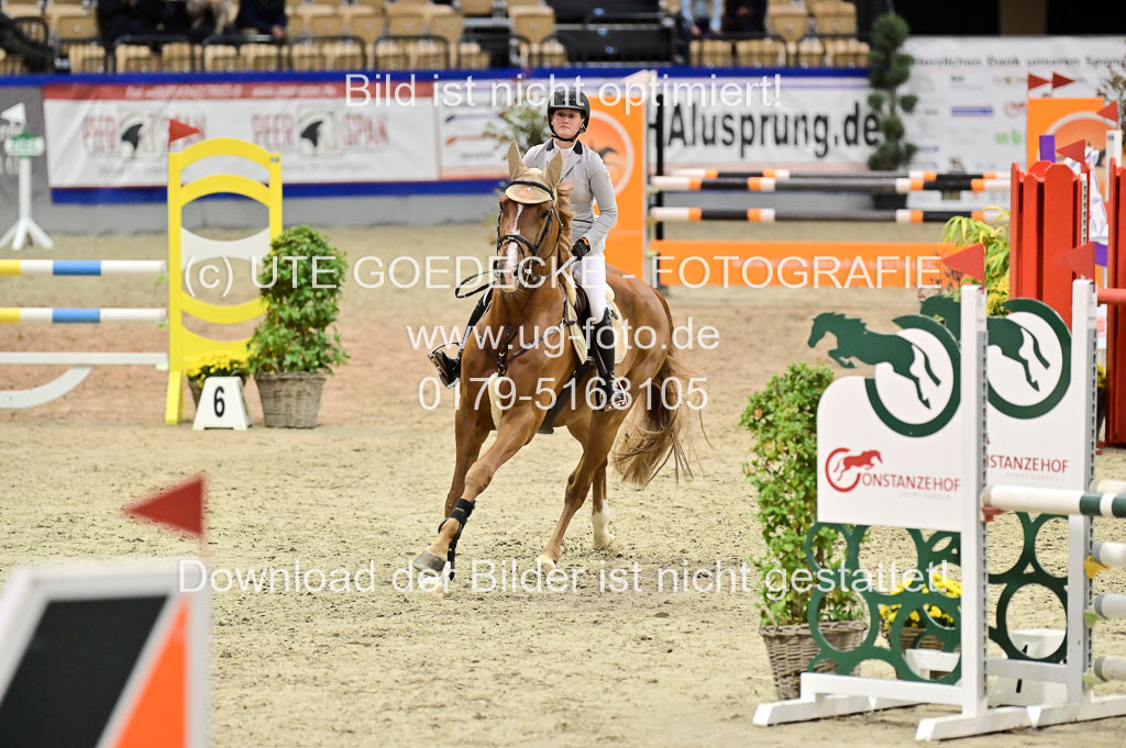 SH Holstein International 21-24.10.2021 Neumünster | Pfg 1 Bronze Tour _287
