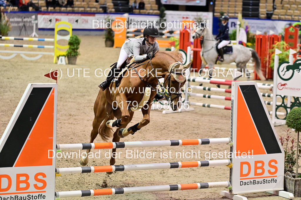SH Holstein International 21-24.10.2021 Neumünster | Pfg 1 Bronze Tour _288