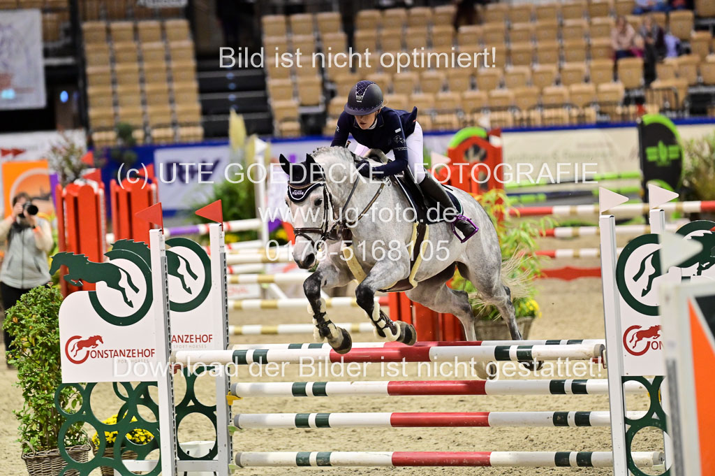 SH Holstein International 21-24.10.2021 Neumünster | Pfg 1 Bronze Tour _290