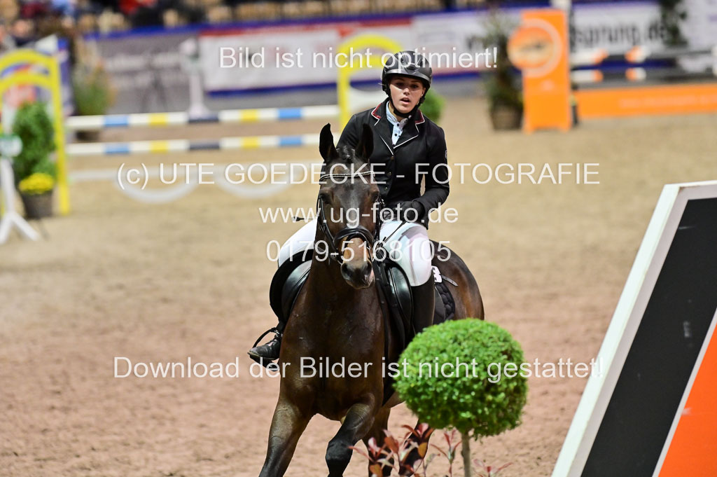SH Holstein International 21-24.10.2021 Neumünster | Pfg 1 Bronze Tour _299