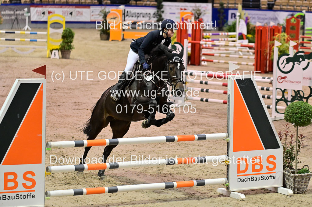 SH Holstein International 21-24.10.2021 Neumünster | Pfg 1 Bronze Tour _348