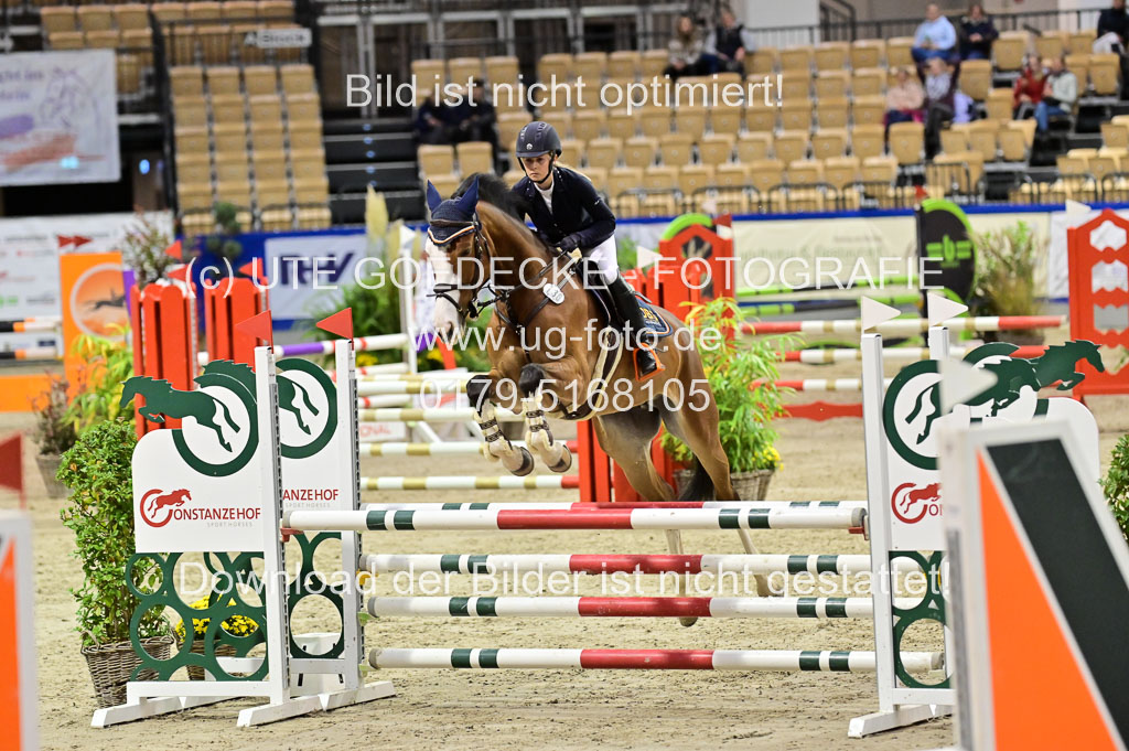 SH Holstein International 21-24.10.2021 Neumünster | Pfg 1 Bronze Tour _390