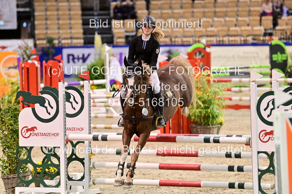 SH Holstein International 21-24.10.2021 Neumünster | Pfg 1 Bronze Tour _417