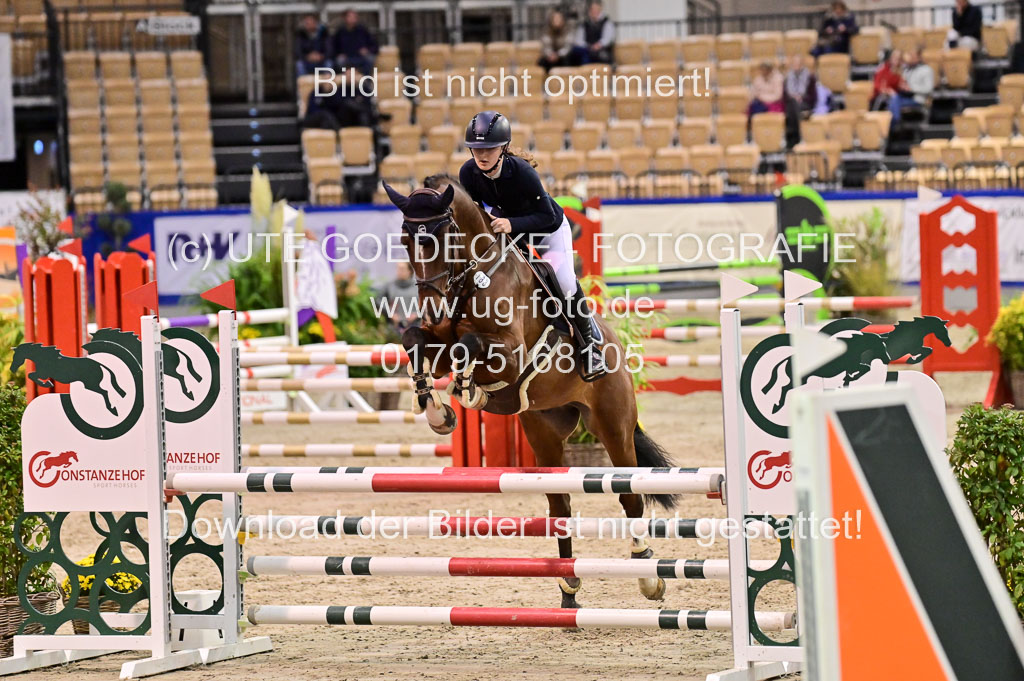 SH Holstein International 21-24.10.2021 Neumünster | Pfg 1 Bronze Tour _426