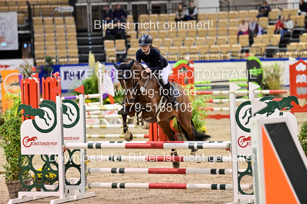 SH Holstein International 21-24.10.2021 Neumünster | Pfg 1 Bronze Tour _427