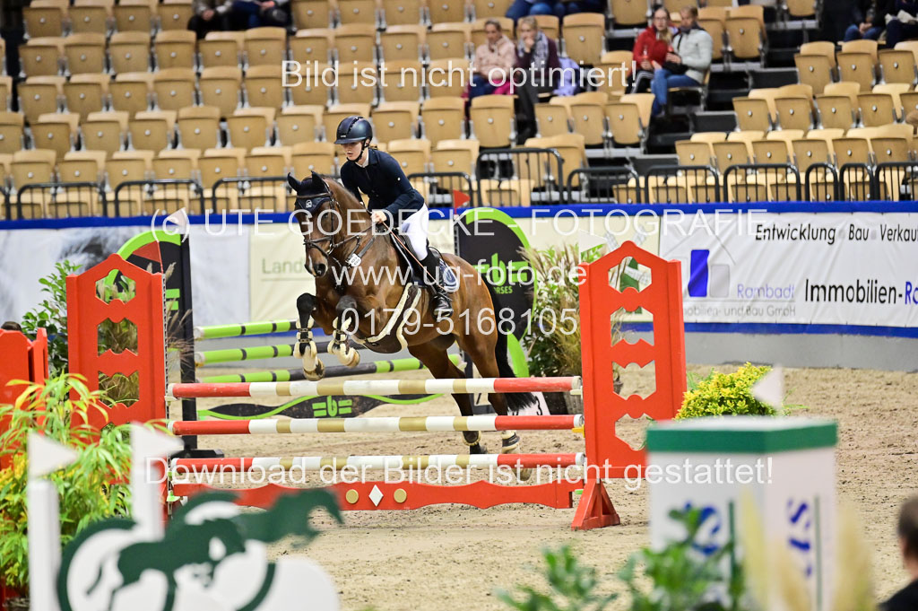 SH Holstein International 21-24.10.2021 Neumünster | Pfg 1 Bronze Tour _433