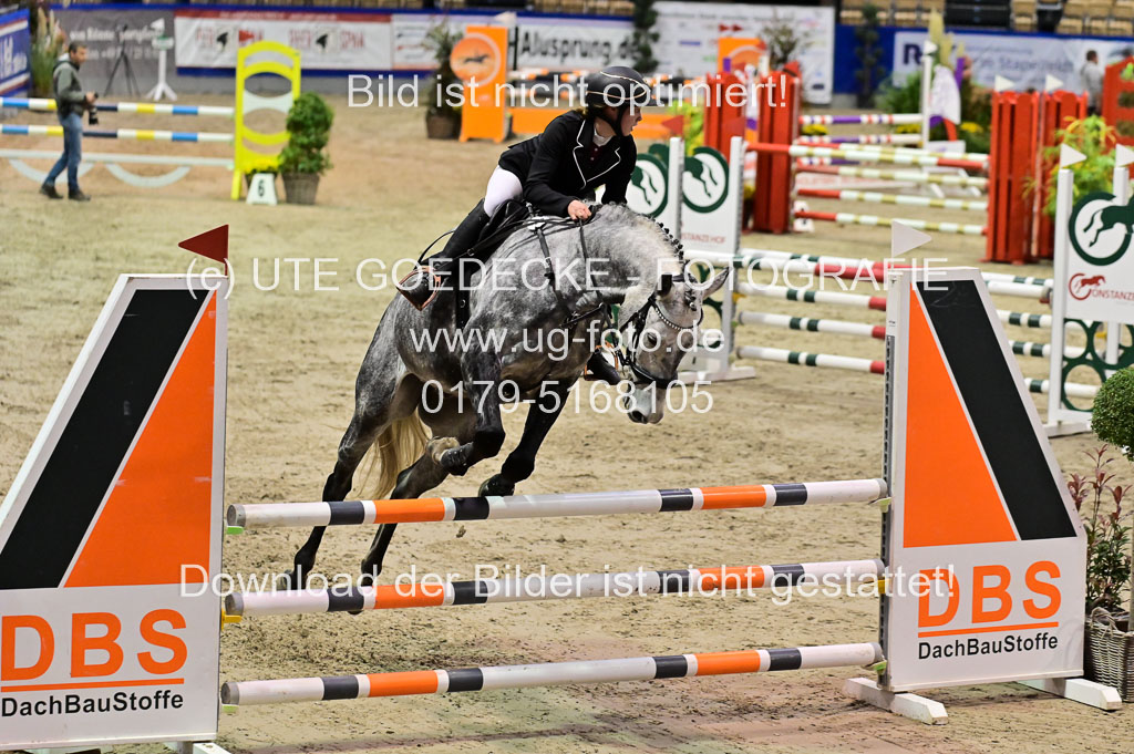 SH Holstein International  21-24.10.2021 Neumünster | Pfg 1 Bronze Tour _443 