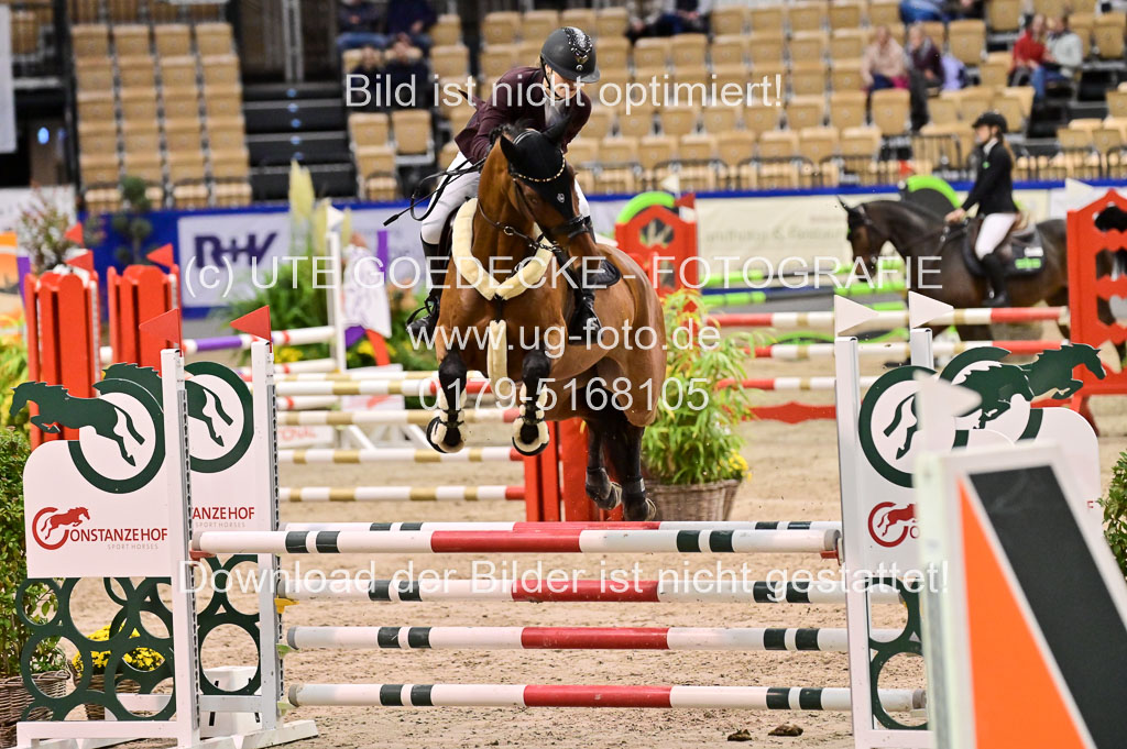SH Holstein International 21-24.10.2021 Neumünster | Pfg 1 Bronze Tour _445