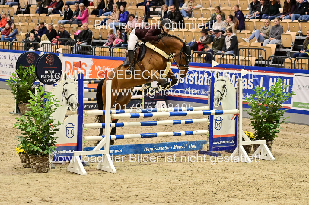 SH Holstein International  21-24.10.2021 Neumünster | Pfg 1 Bronze Tour _446 