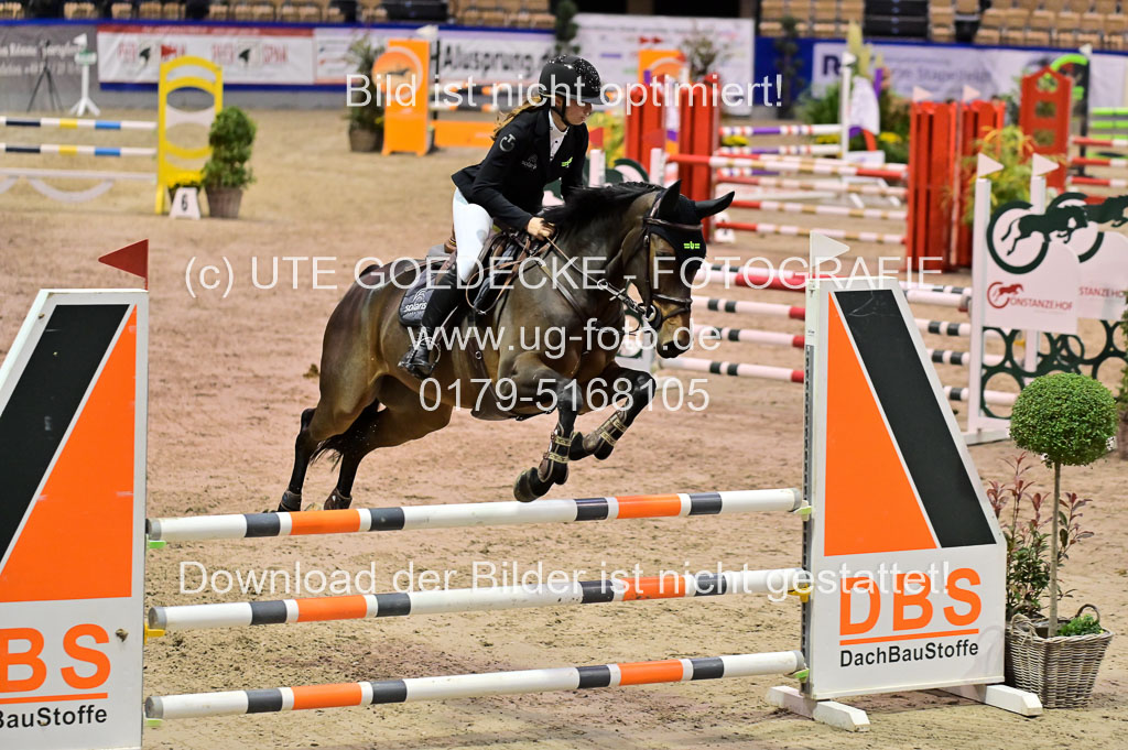 SH Holstein International 21-24.10.2021 Neumünster | Pfg 1 Bronze Tour _461