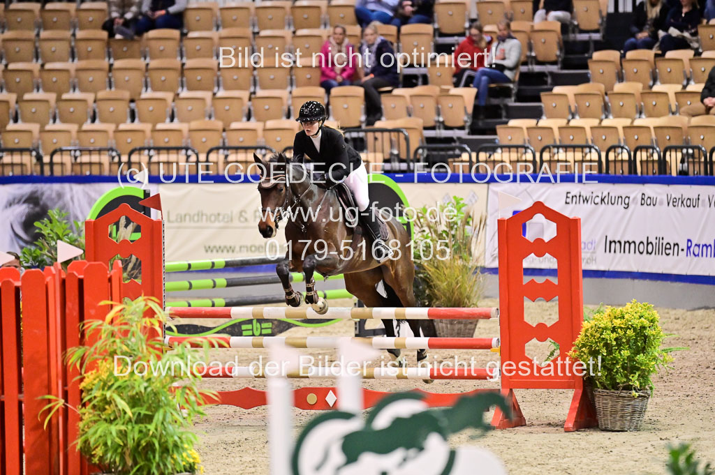 SH Holstein International  21-24.10.2021 Neumünster | Pfg 1 Bronze Tour _475 