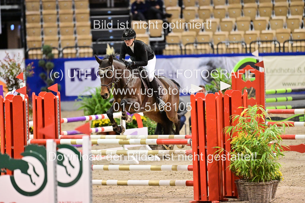 SH Holstein International 21-24.10.2021 Neumünster | Pfg 1 Bronze Tour _477