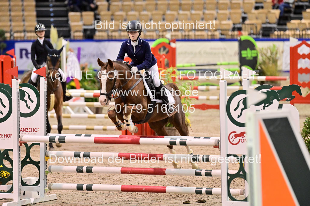 SH Holstein International 21-24.10.2021 Neumünster | Pfg 1 Bronze Tour _488