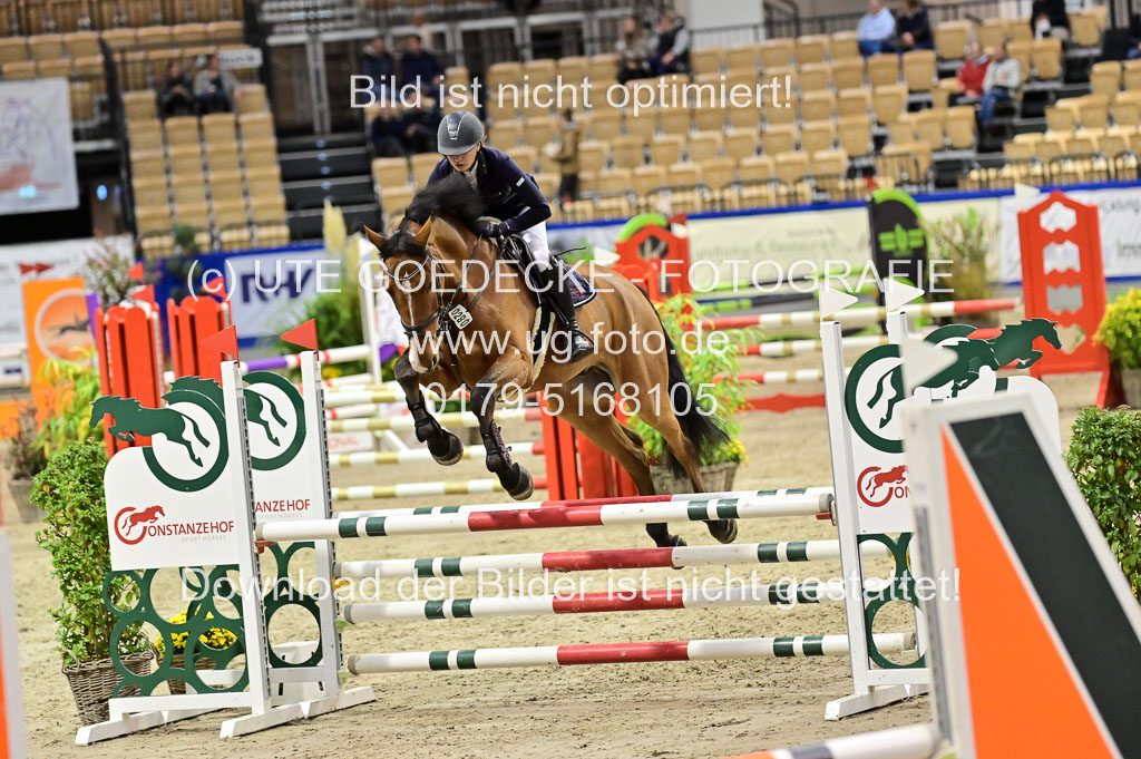 SH Holstein International 21-24.10.2021 Neumünster | Pfg 1 Bronze Tour _516