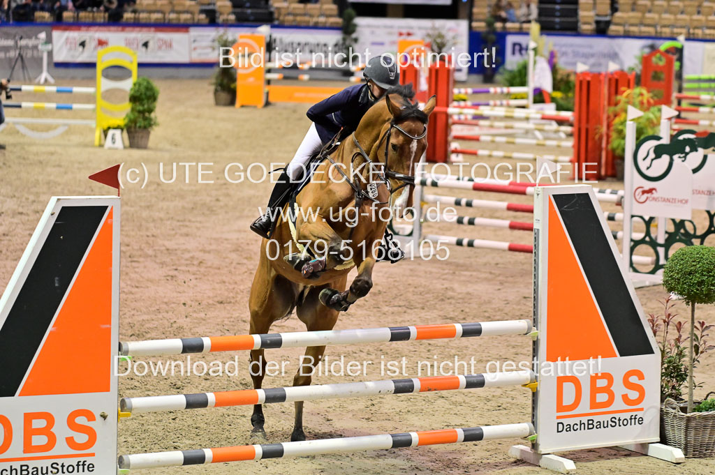 SH Holstein International 21-24.10.2021 Neumünster | Pfg 1 Bronze Tour _527