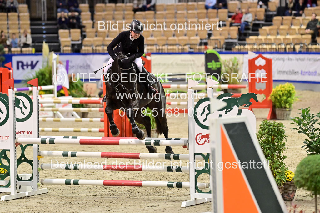 SH Holstein International 21-24.10.2021 Neumünster | Pfg 1 Bronze Tour _529