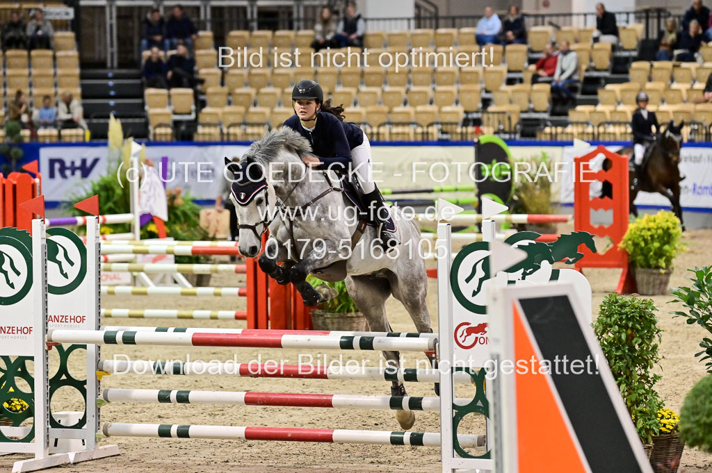 SH Holstein International 21-24.10.2021 Neumünster | Pfg 1 Bronze Tour _546