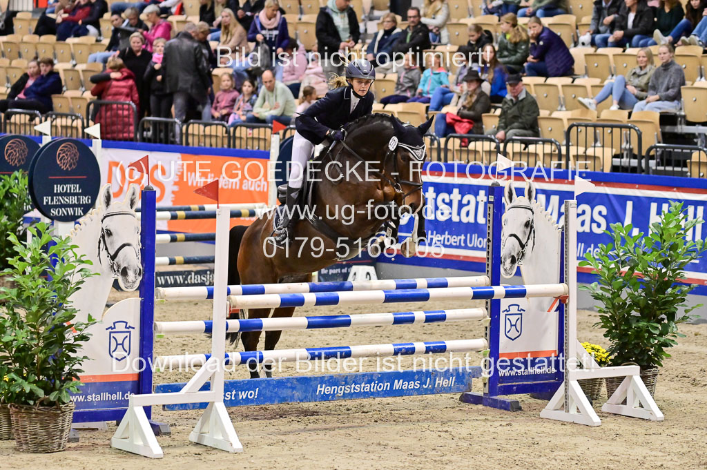 SH Holstein International 21-24.10.2021 Neumünster | Pfg 1 Bronze Tour _561