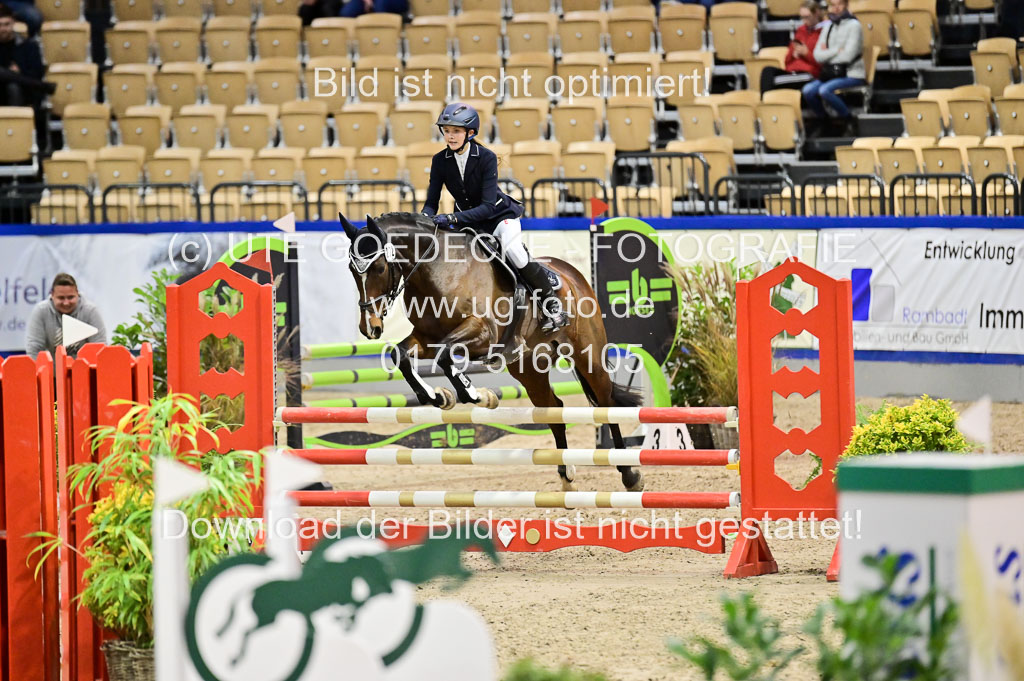 SH Holstein International 21-24.10.2021 Neumünster | Pfg 1 Bronze Tour _565